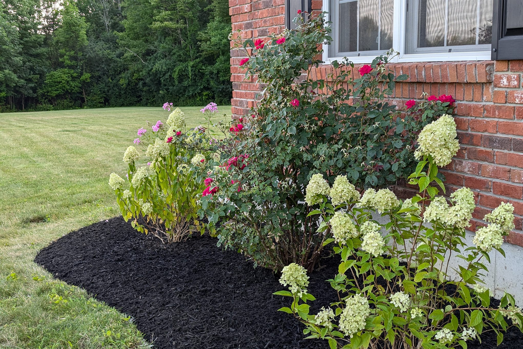 Thumbnail of Installation progress photo of retaining wall around pool