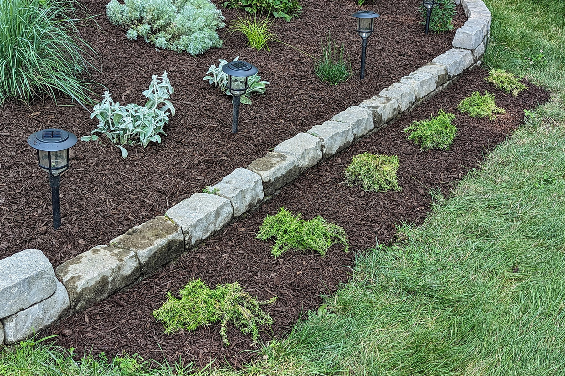 Thumbnail of completed plant bed with mulch