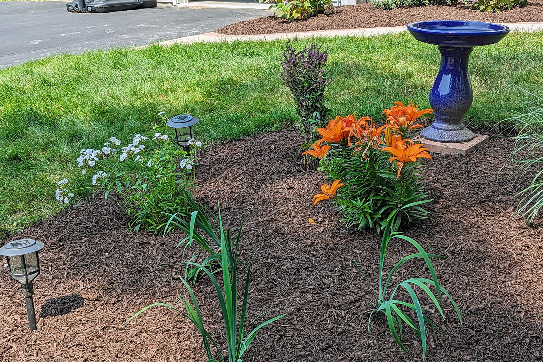 Thumbnail of lawn with sparse grass in the corner of lot