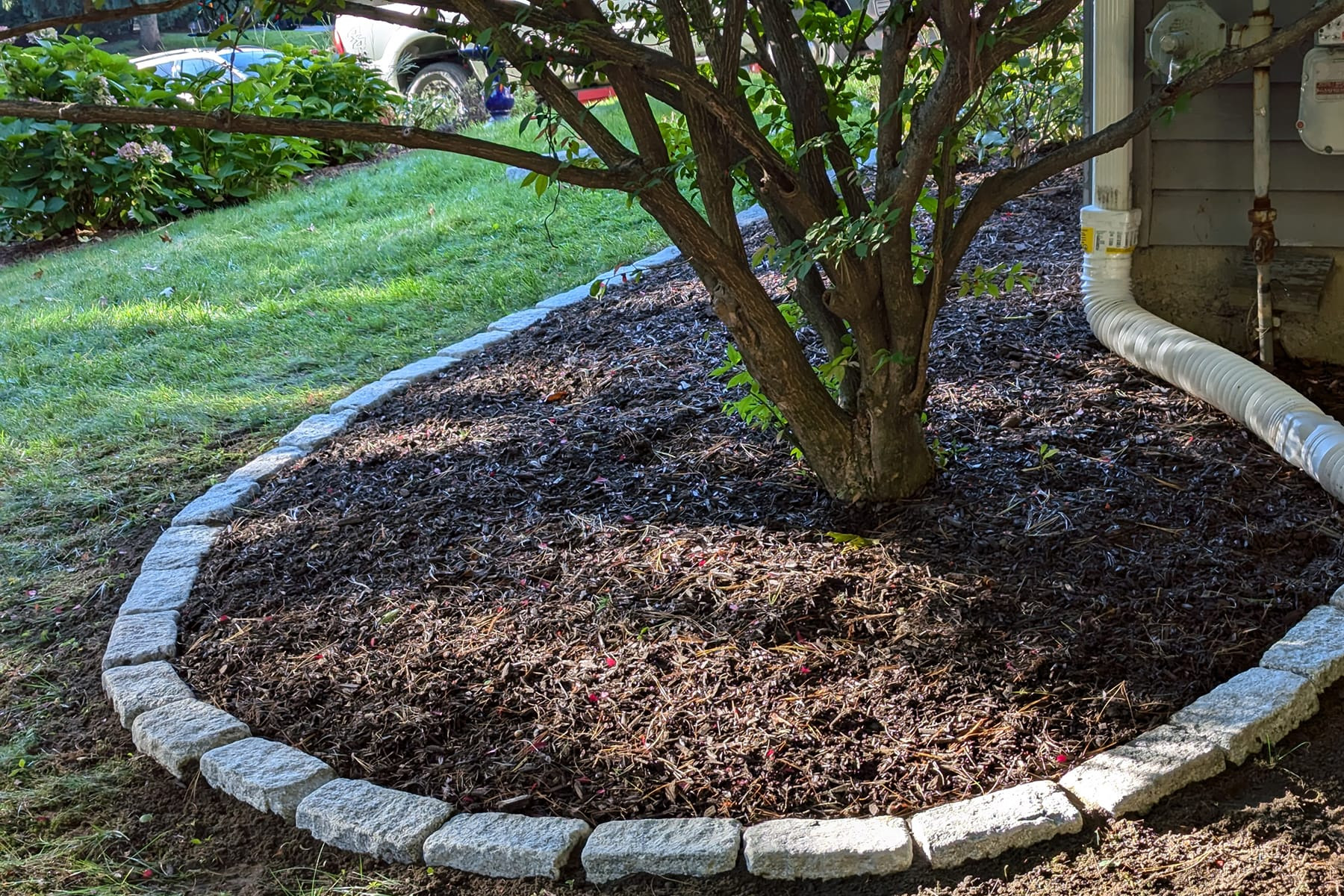 Thumbnail of completed plant bed with mulch