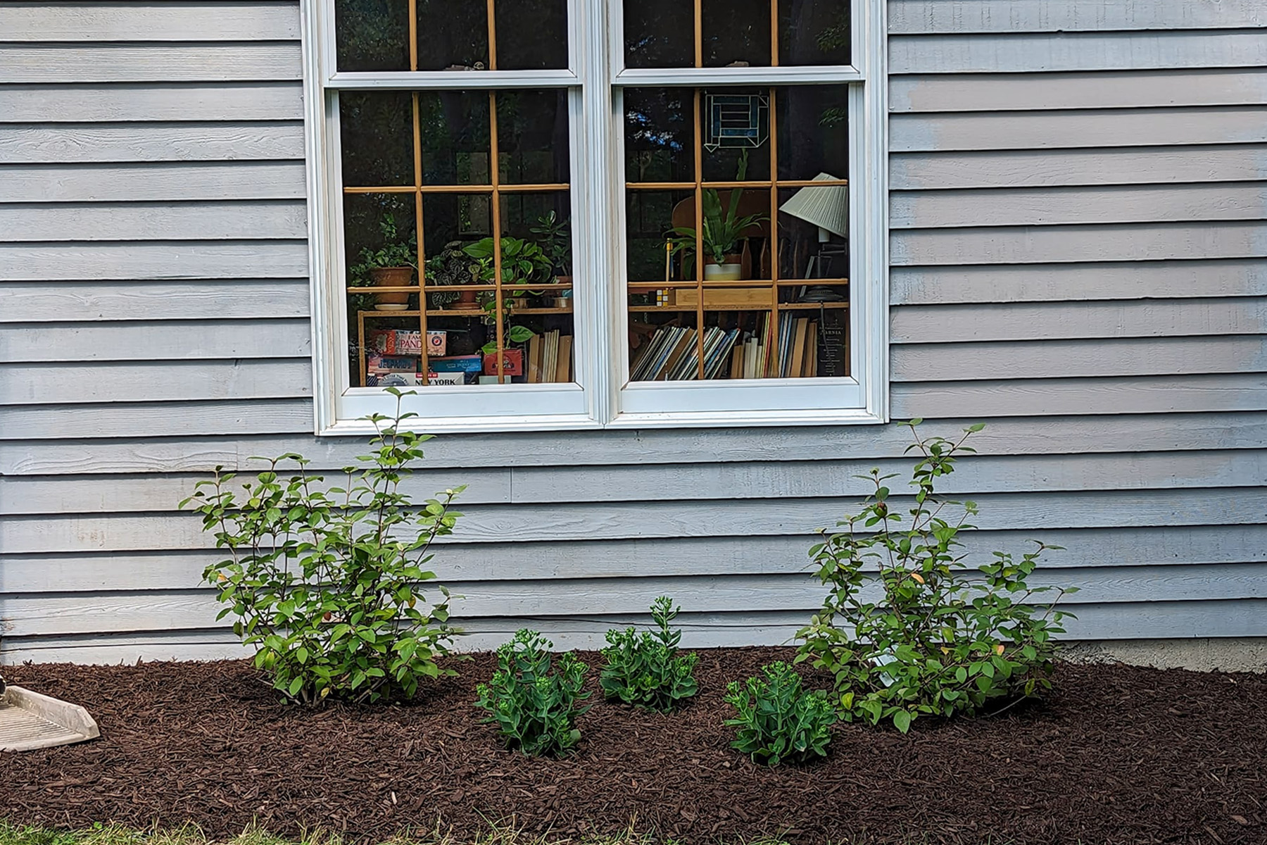Thumbnail of lawn with sparse grass in the corner of lot