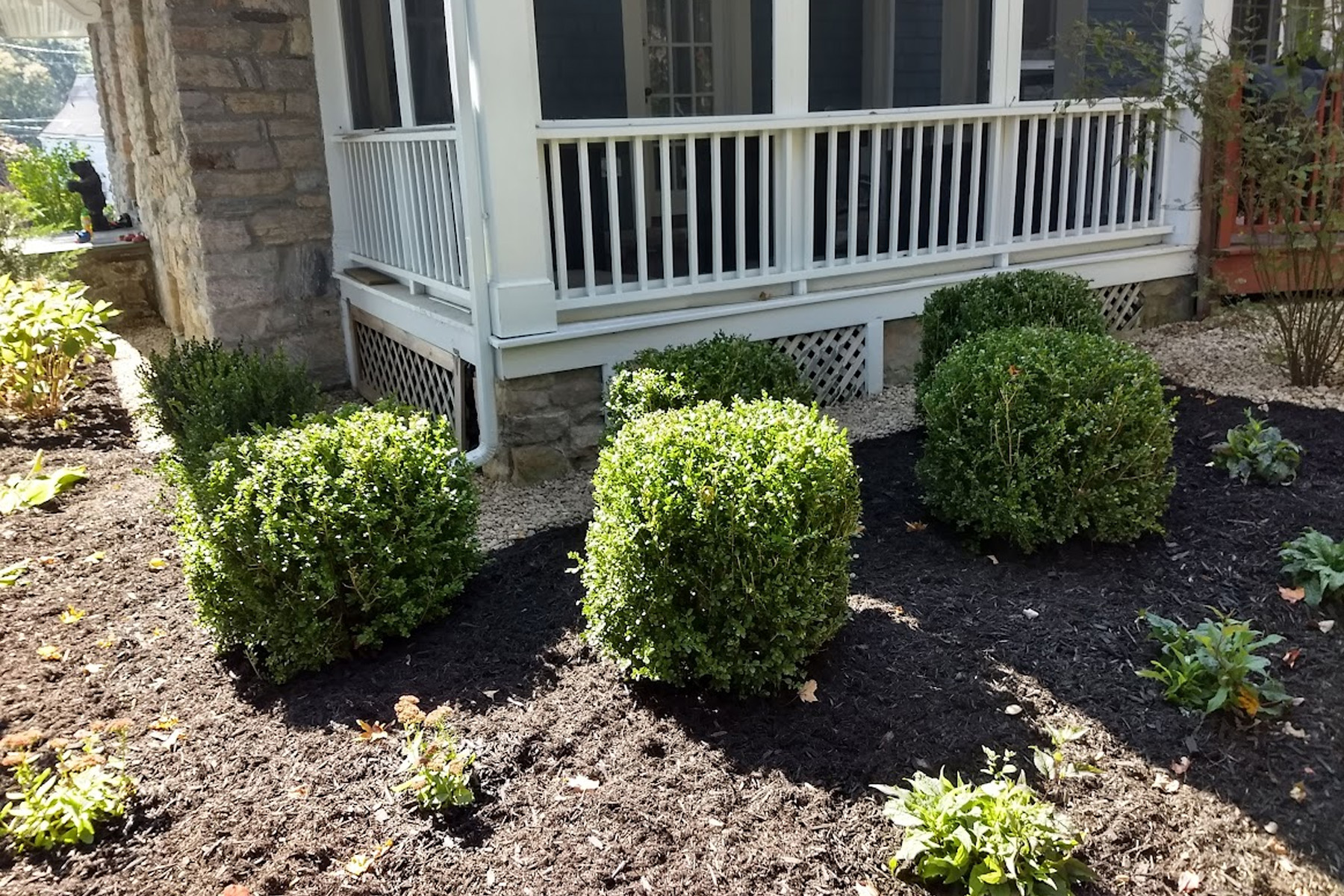 Thumbnail of completed plant bed, on the corner, with mulch and edging