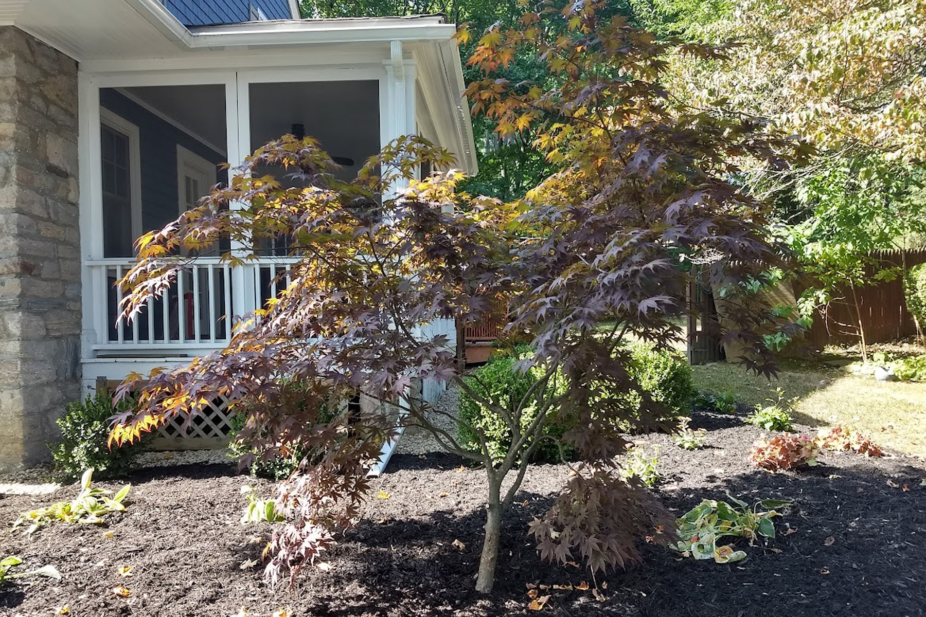 Thumbnail of completed plant bed, with stone stairs, mulch, and stone