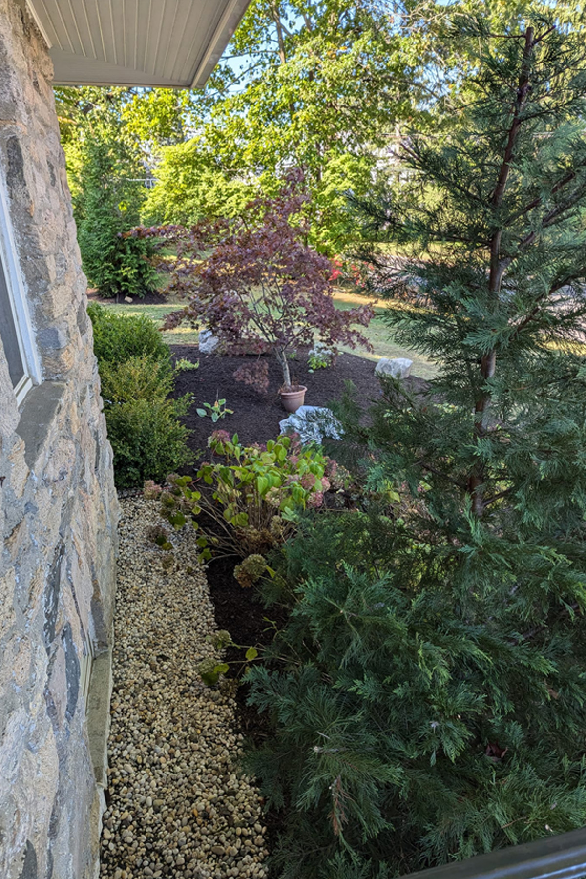 Thumbnail of completed plant bed, on the corner, without mulch and stone