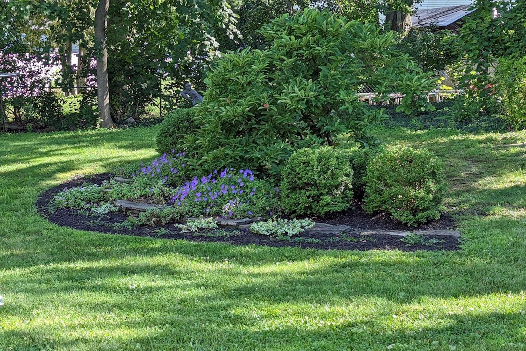 Freshly watered flowerbed