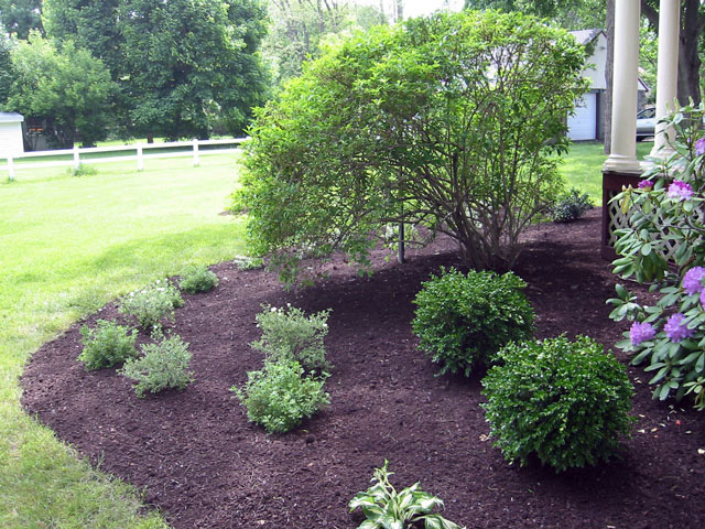 Thumbnail of the newly completed left half of the plantbed adjacent to the Civale Chiropractic office