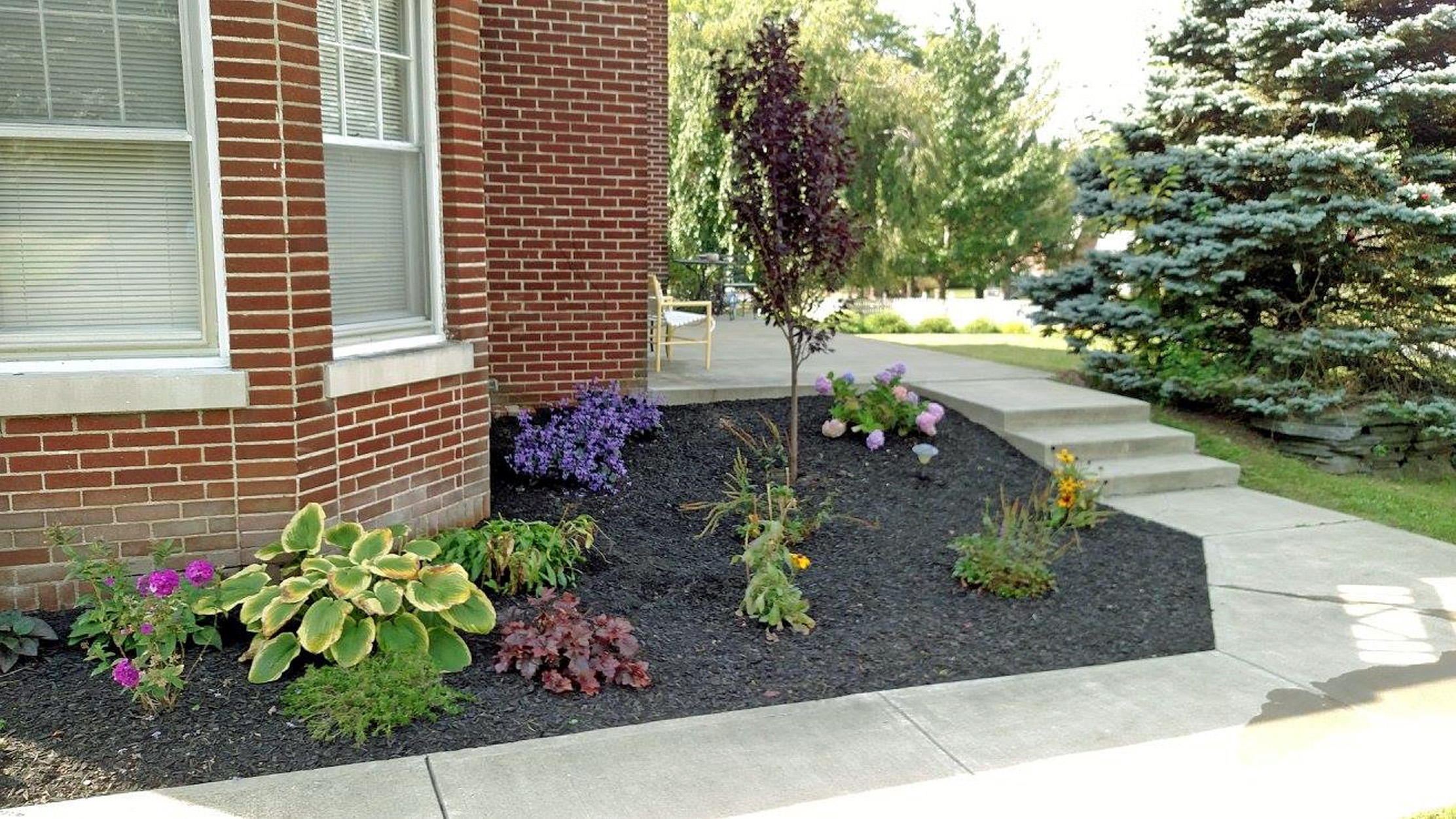 Thumbnail of completed plant bed with mulch