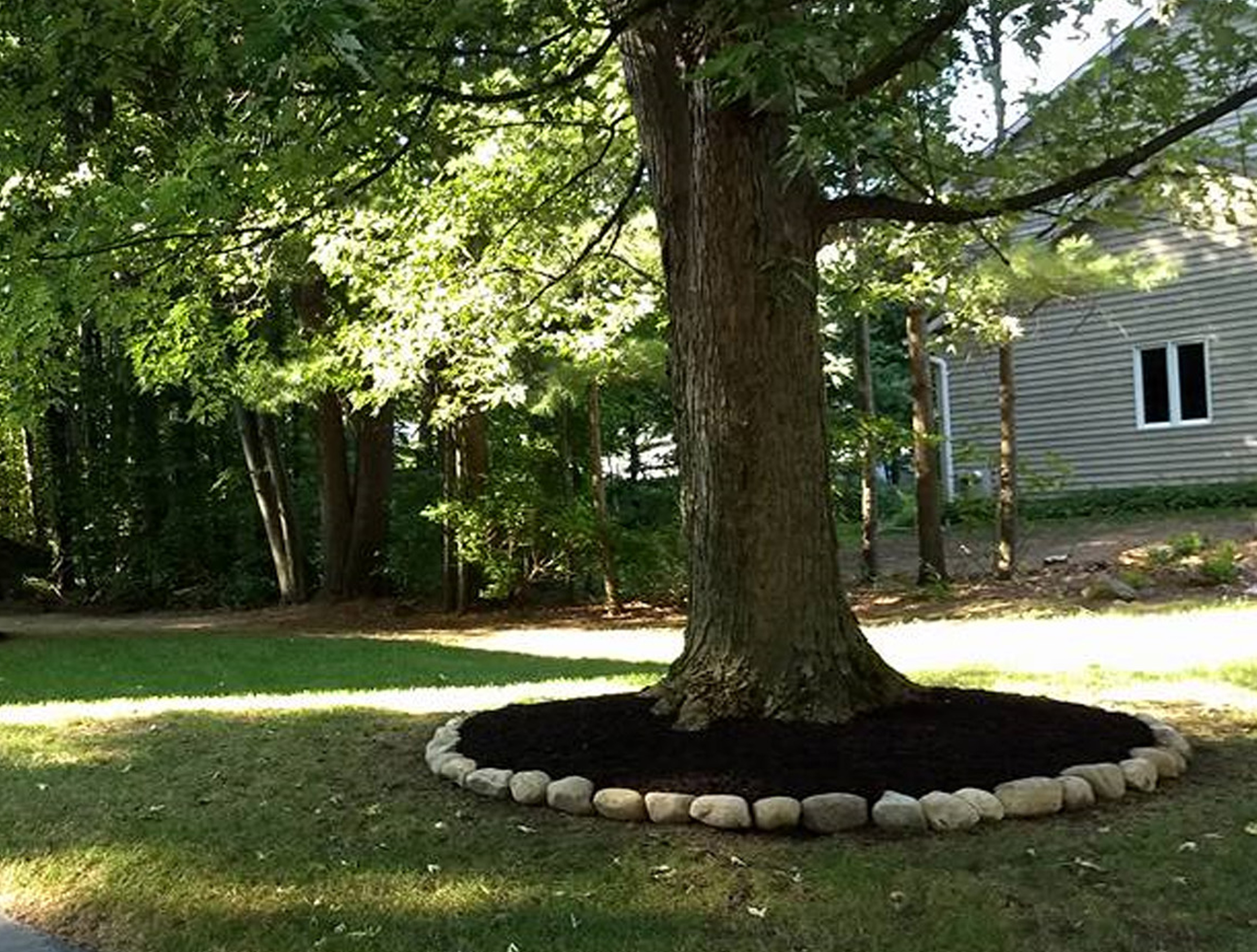 The newly completed ring of stone edging around a large tree with fresh mulch