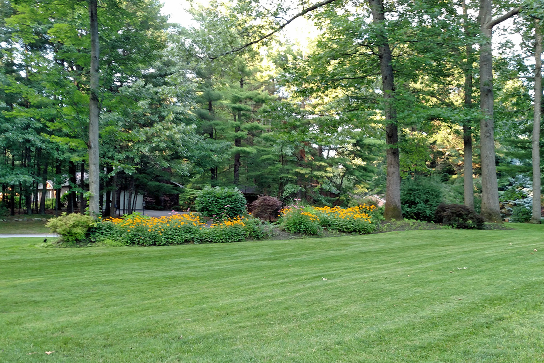 Thumbmnail image of a freshly mowed lawn and a weeded plantbed