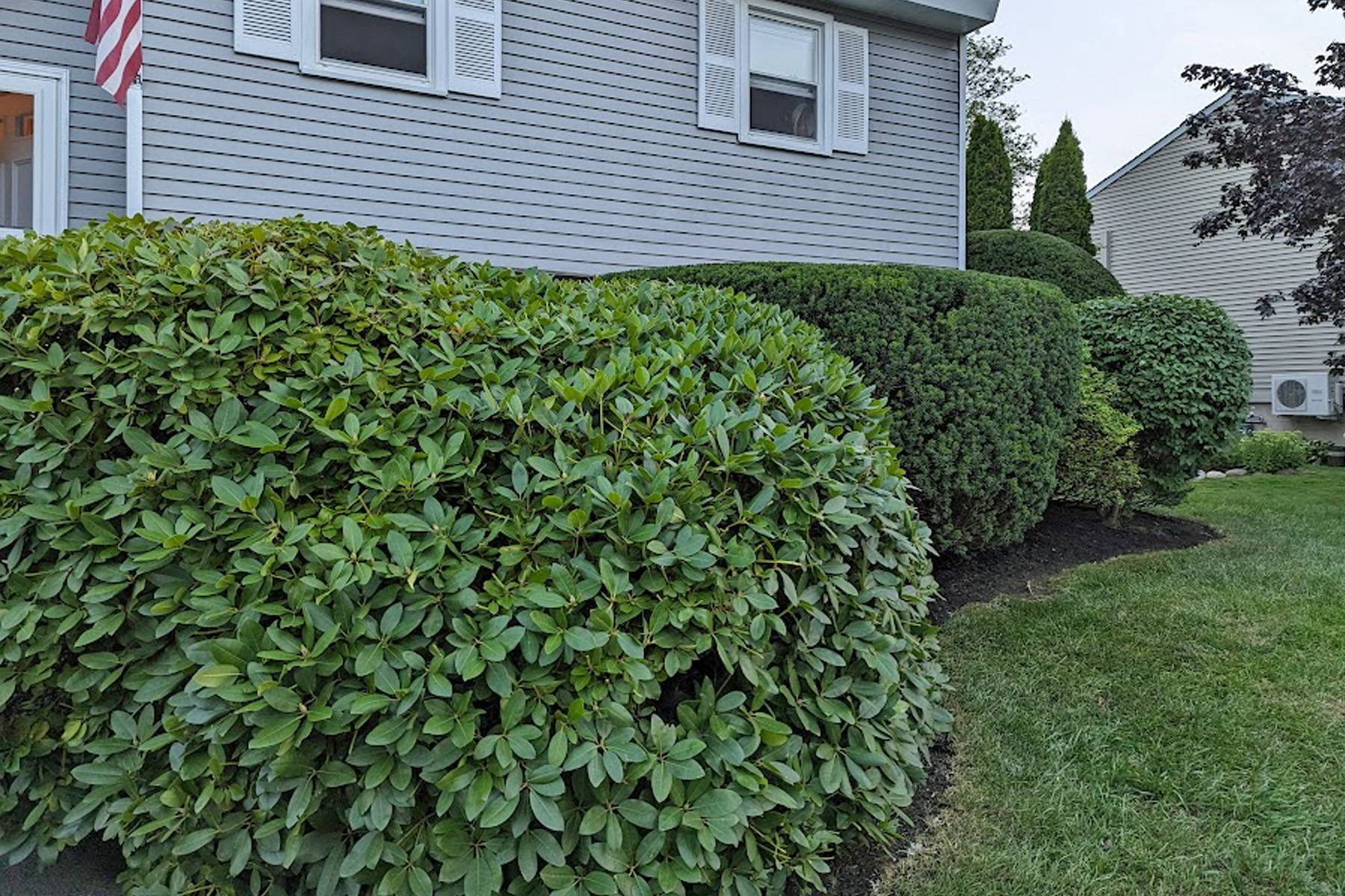 Thumbmnail image of a freshly mowed lawn, removed weeds, and fresh mulch