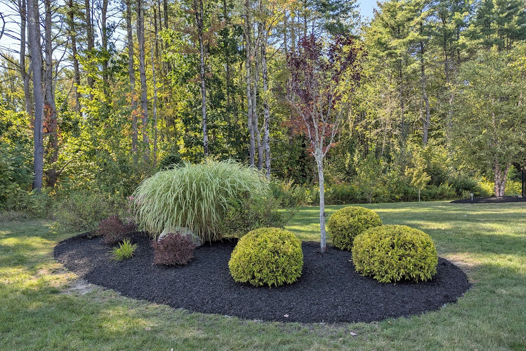 Thumbnail of completed trimming, bed cleanup, and fresh mulch