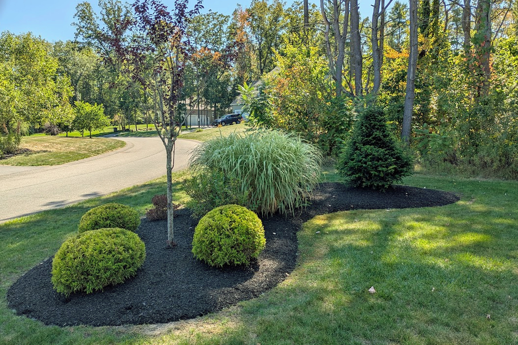 Thumbnail of completed trimming, bed cleanup, and fresh mulch
