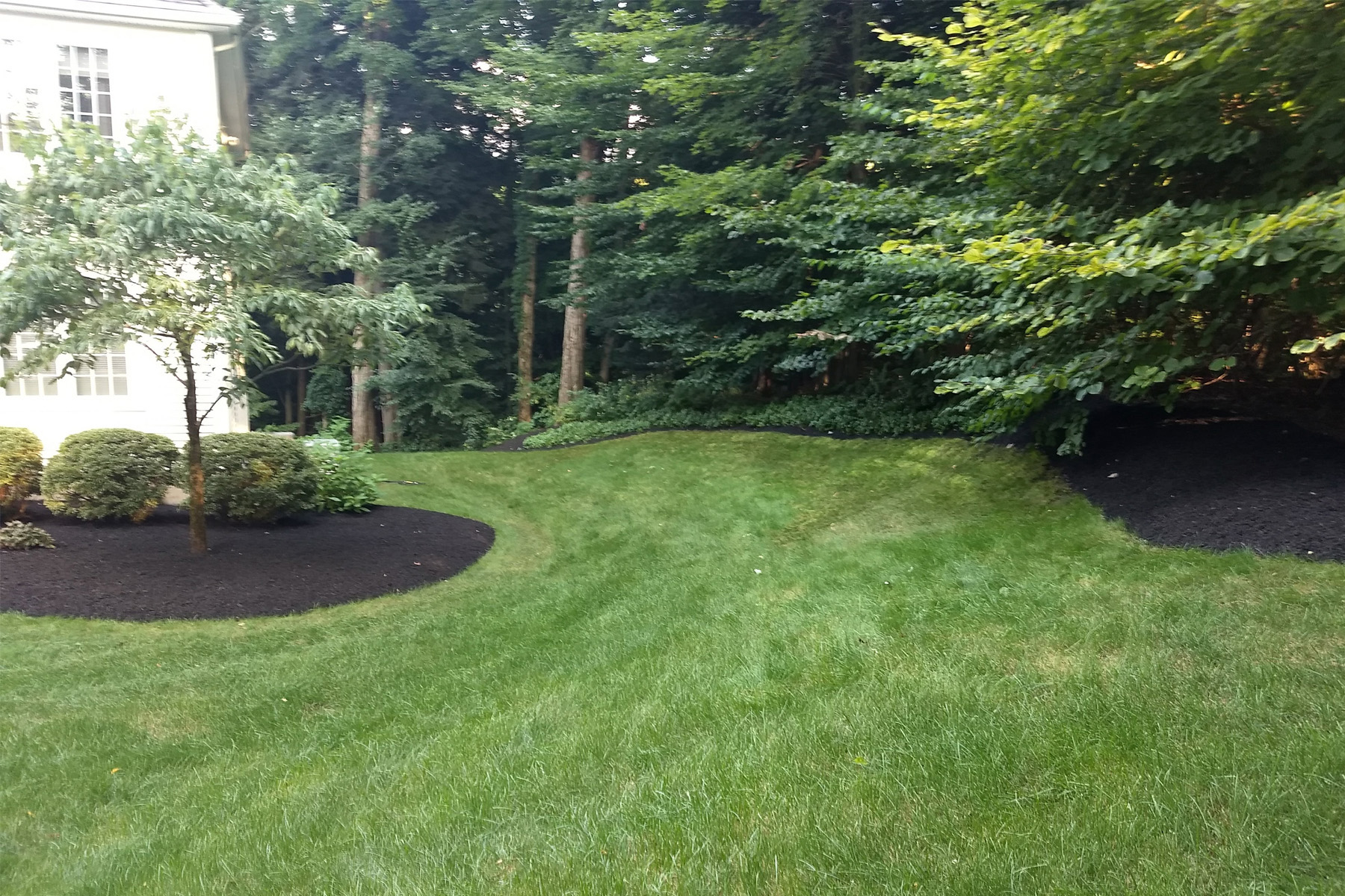 Thumbnail of completed trimming, bed cleanup, and fresh mulch