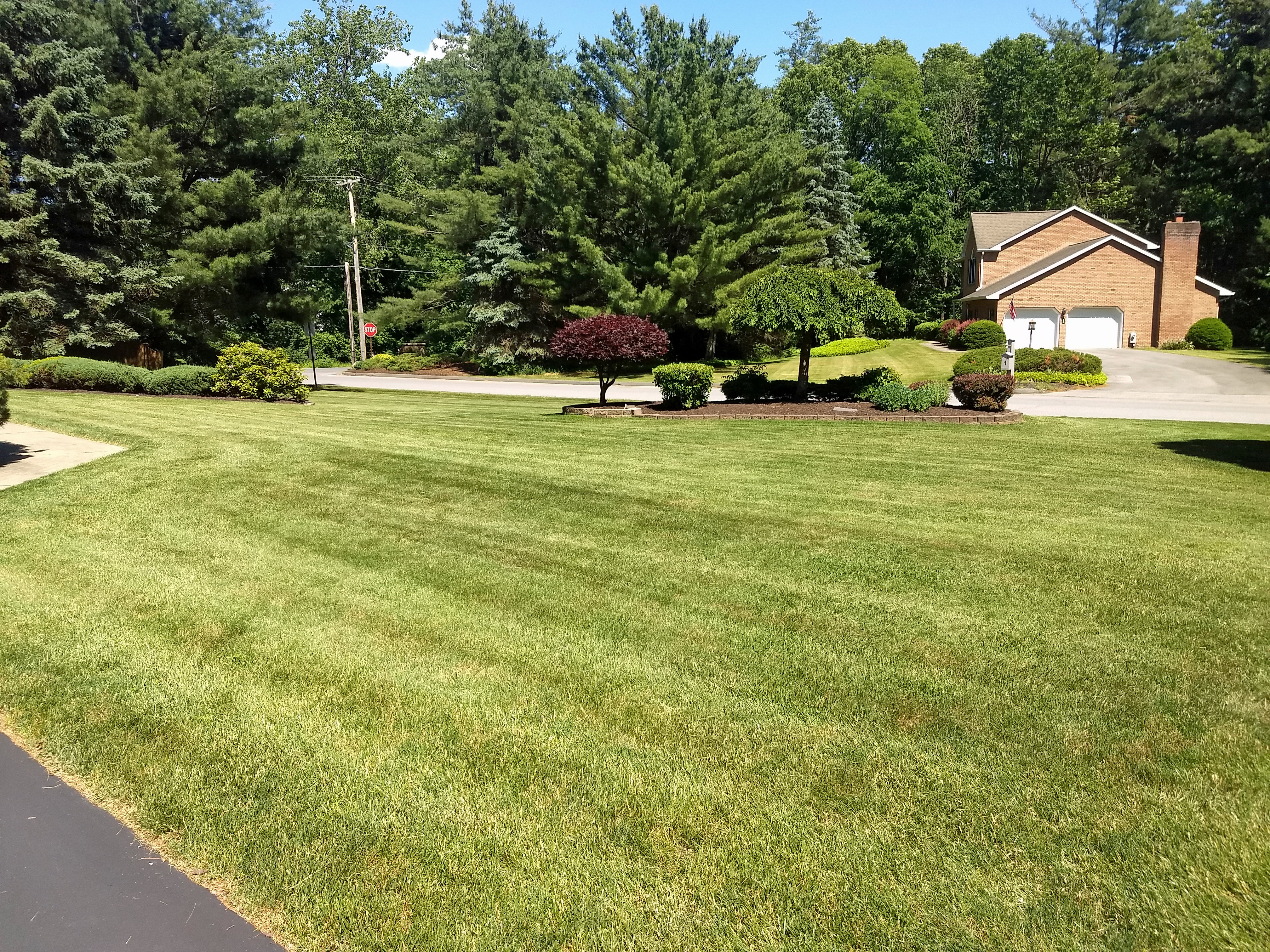 Thumbmnail image of a freshly mowed lawn and a weeded plantbed