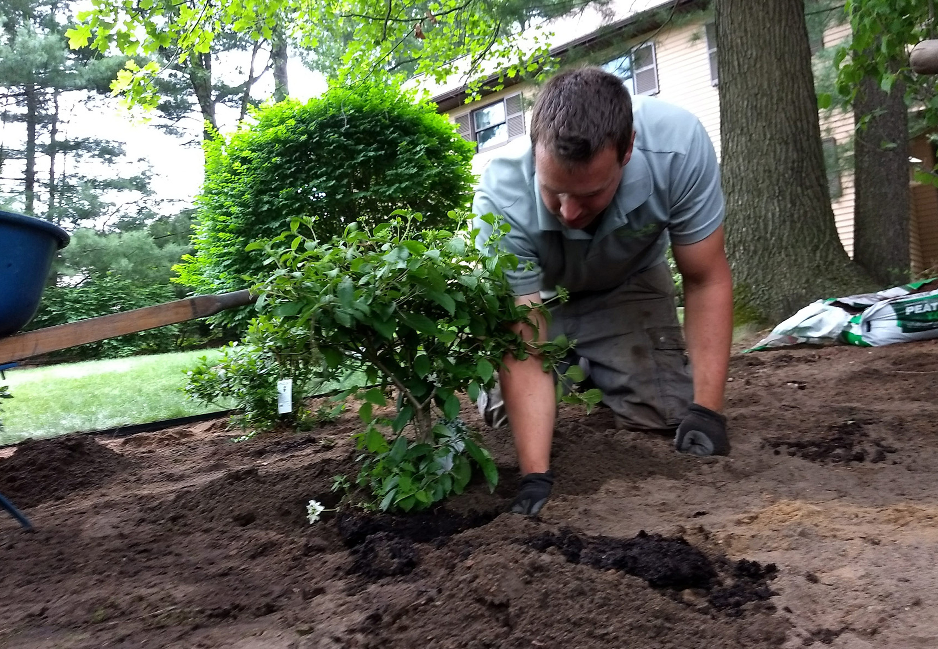 Joe planting a shrub